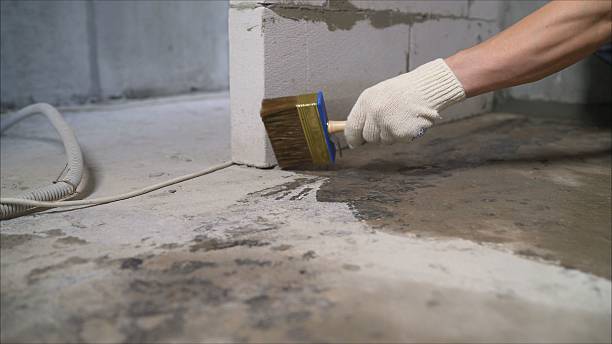 SJ Waterproofing Pros Crawl Space Encapsulation coverage map for Chaffee, NY and surrounding area